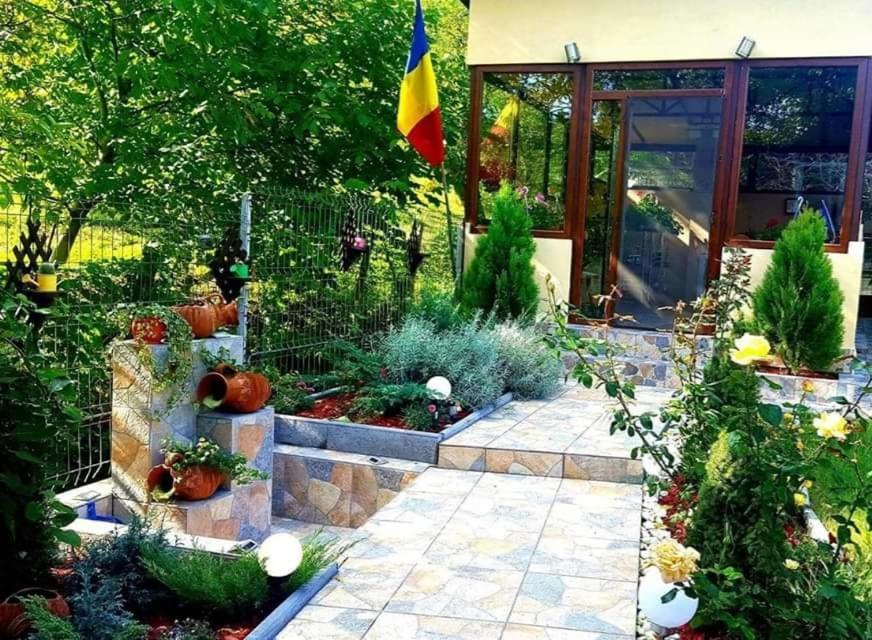 Casa Alex Hotel Sarata-Monteoru Exterior photo
