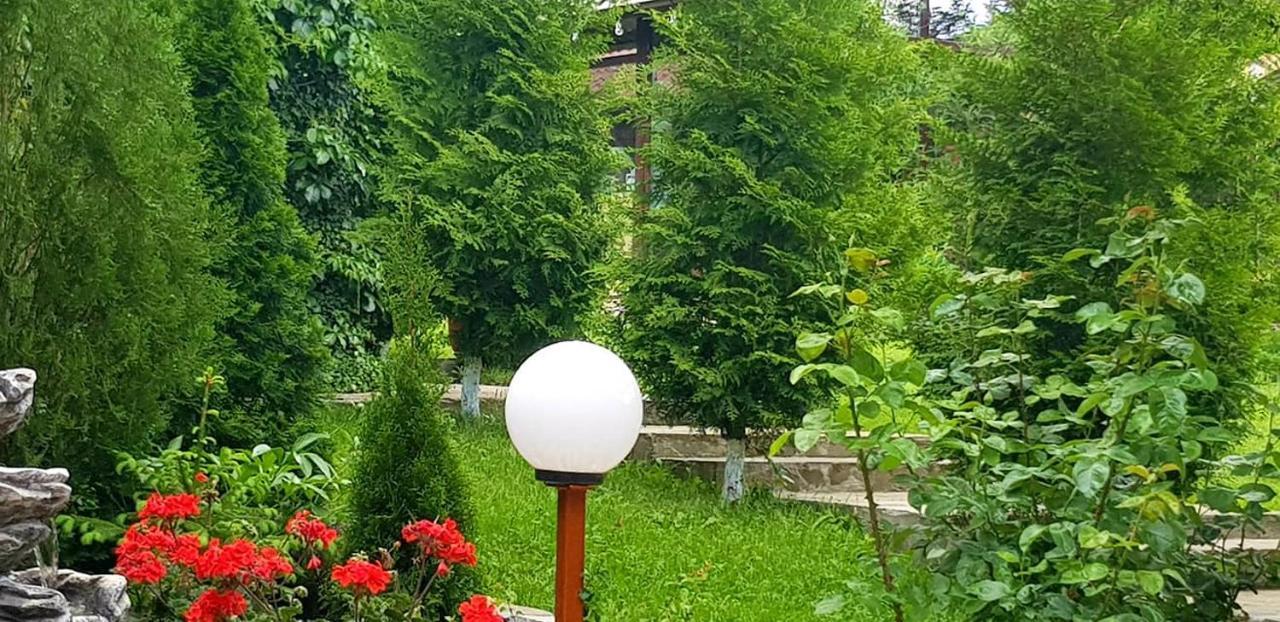 Casa Alex Hotel Sarata-Monteoru Exterior photo
