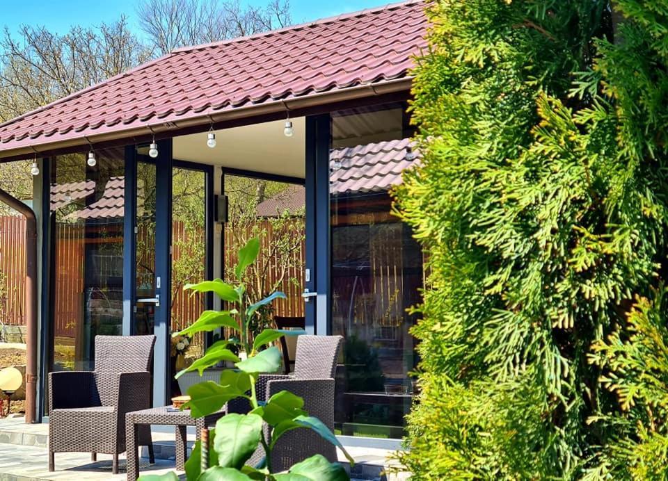 Casa Alex Hotel Sarata-Monteoru Exterior photo