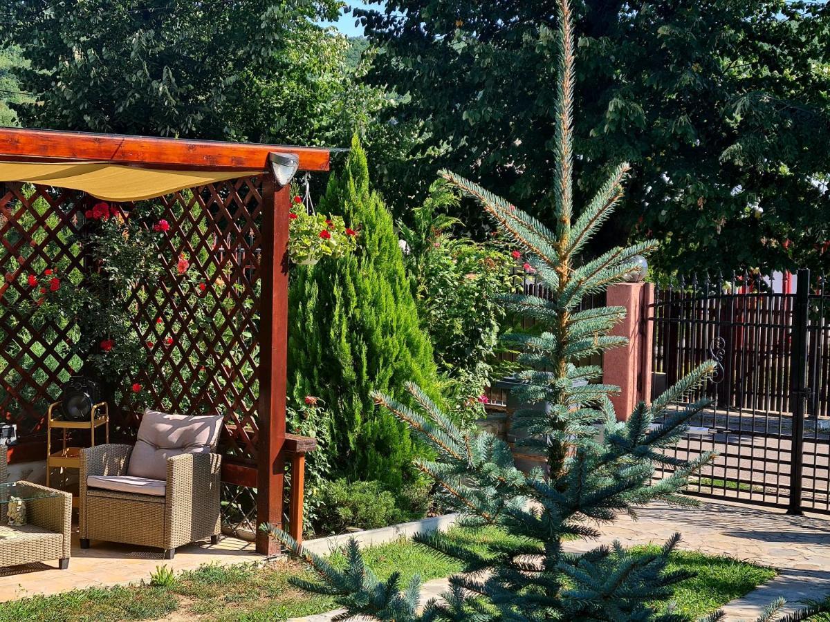 Casa Alex Hotel Sarata-Monteoru Exterior photo