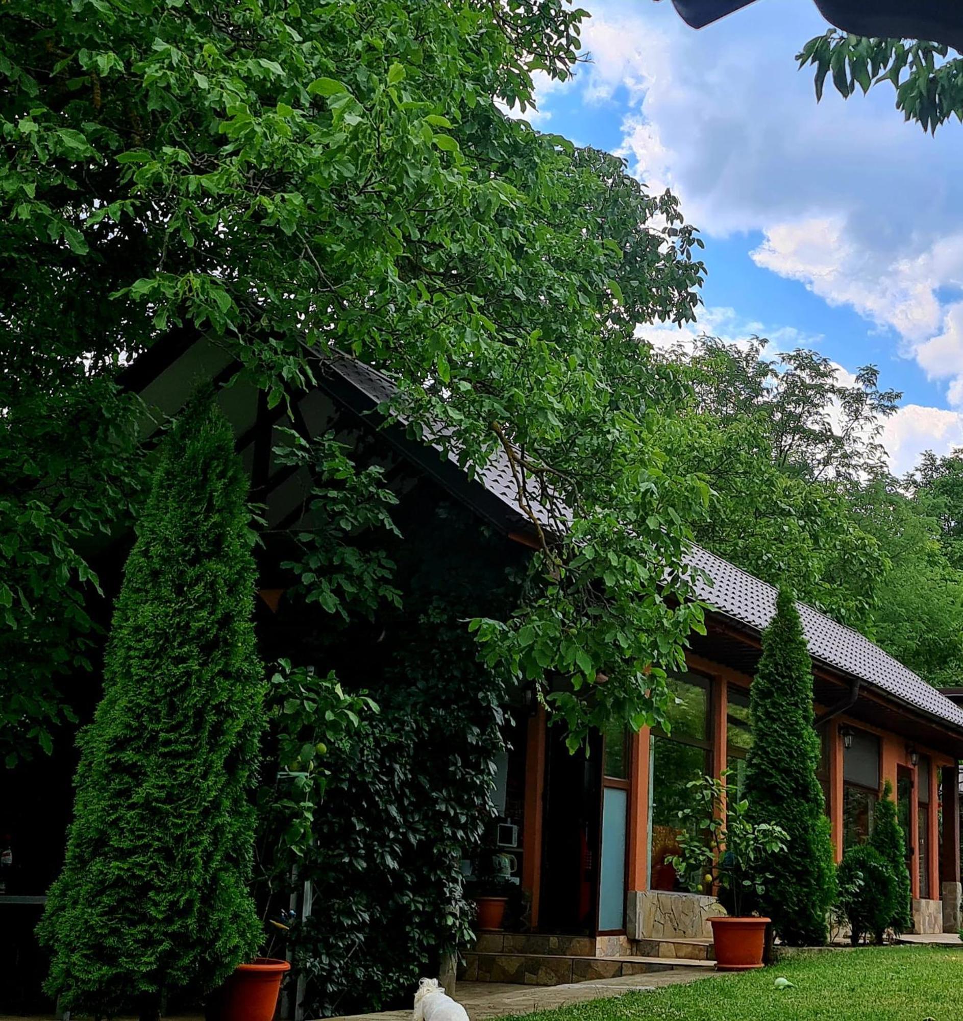 Casa Alex Hotel Sarata-Monteoru Exterior photo